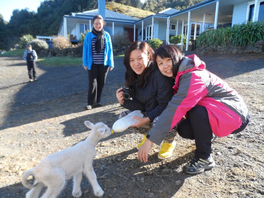 Nightingale Falls Farm Stay Retreat Темс Экстерьер фото