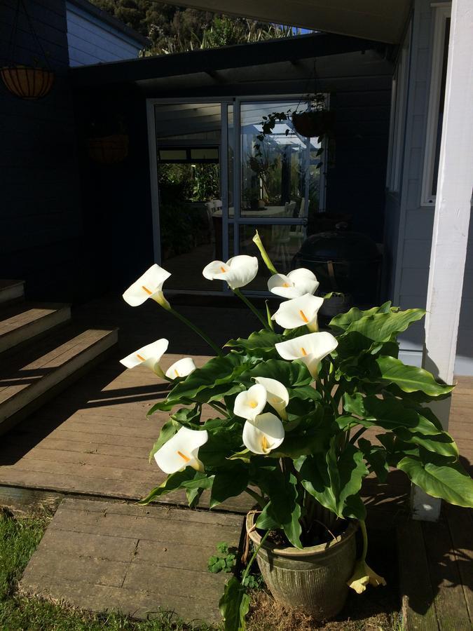 Nightingale Falls Farm Stay Retreat Темс Экстерьер фото